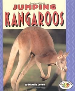 Jumping Kangaroos