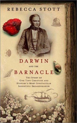 Darwin and the barnacle by Rebecca Stott