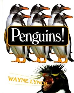 Penguins!