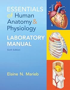 Essentials of Human Anatomy & Physiology Laboratory Manual by Elaine Marieb