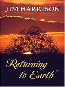 Returning to Earth