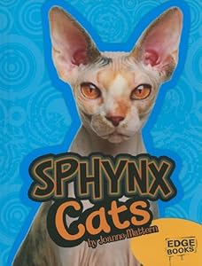 Sphynx Cats