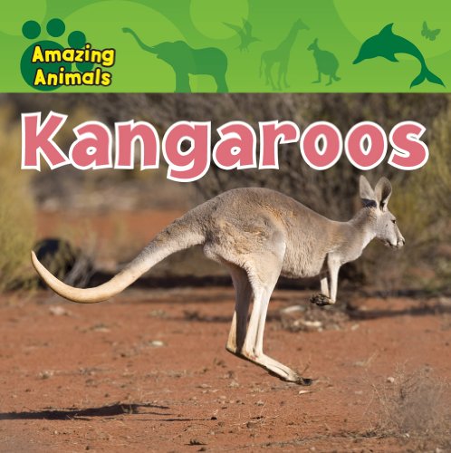 Kangaroos by Christina Wilsdon