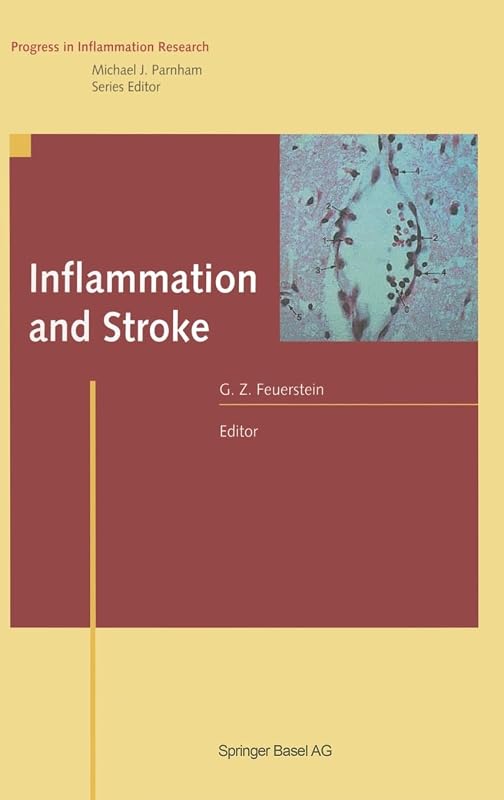 Inflammation and Stroke (Progress in Inflammation Research) by Giora Z. Feuerstein