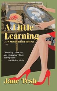 A Little Learning: A Madeleine Maclin Mystery (Madeleine Maclin Series)