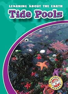 Tide Pools