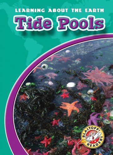 Tide Pools by Colleen Sexton