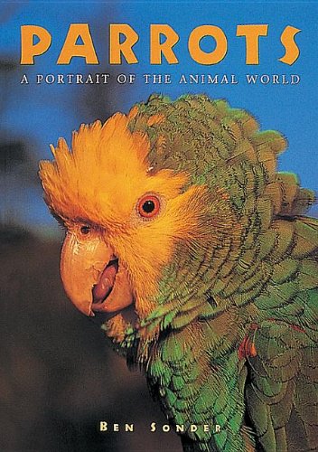 Parrots by Ben Sonder