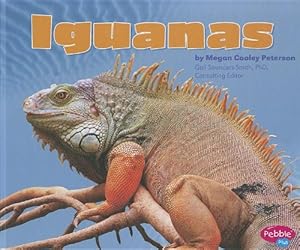 Iguanas