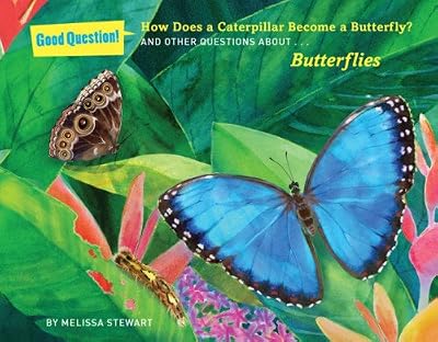 How Does a Caterpillar Become a Butterfly?: And Other Questions about Butterflies