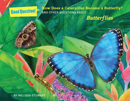 How Does a Caterpillar Become a Butterfly?: And Other Questions about Butterflies by Melissa Stewart