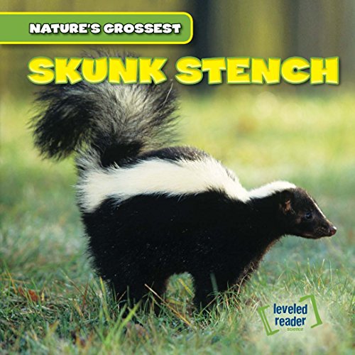 Skunk stench by Kate Shoemaker