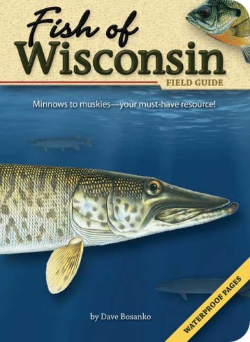 Fish of Wisconsin Field Guide by Dave Bosanko