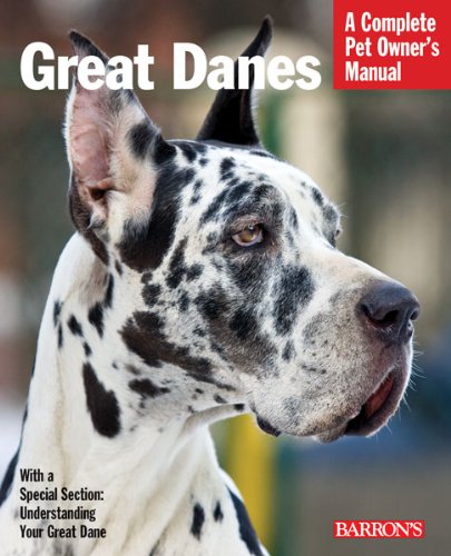 Great Danes by Joe Stahlkuppe