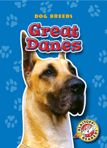 Great Danes by Sara Green