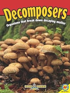 Decomposers