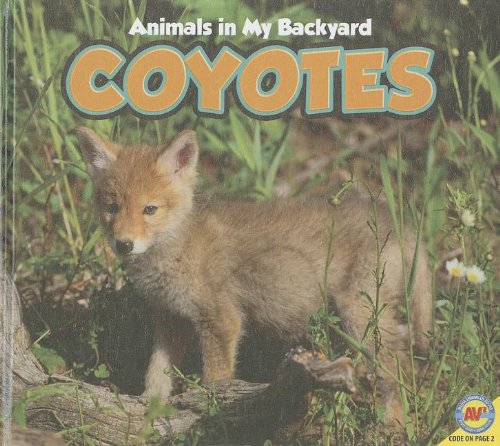 Coyotes by Jordan McGill