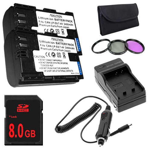 

TWO LP-E6 Lithium Ion Replacement Batteries w/Charger for Canon EOS 60D Digital SLR Camera 8GB SDHC + 3 Piece Filter Kit DavisMAX Bundle