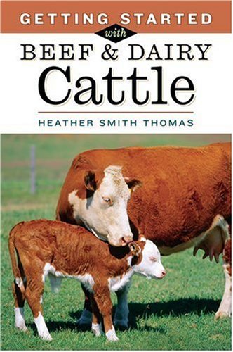Getting Started with Beef & Dairy Cattle by Heather Smith Thomas