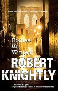 Bodies in Winter (A Harry Corbin Mystery)