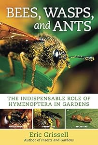 Bees, Wasps, and Ants: The Indispensable Role of Hymenoptera in Gardens by Eric Grissell