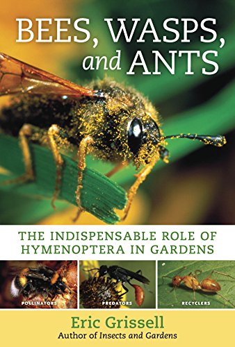 Bees, Wasps, and Ants: The Indispensable Role of Hymenoptera in Gardens by Eric Grissell