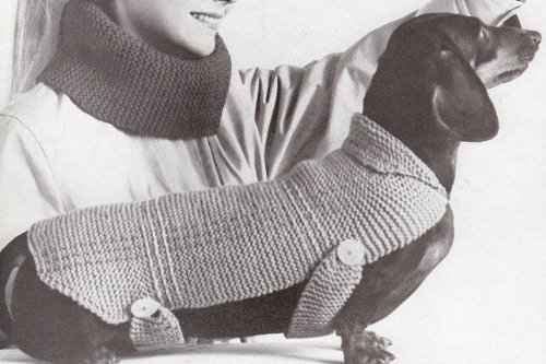 

Vintage Knitting PATTERN to make - Dog Coat Blanket Sweater Dachshund. NOT a finished item, this is a pattern and/or instructions to make the item only.