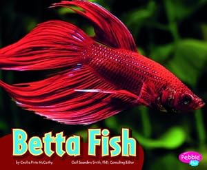 Betta Fish
