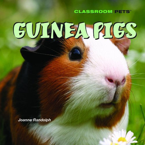 Guinea Pigs (Classroom Pets) by Joanne Randolph
