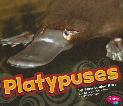Platypuses by Sara Louise Kras