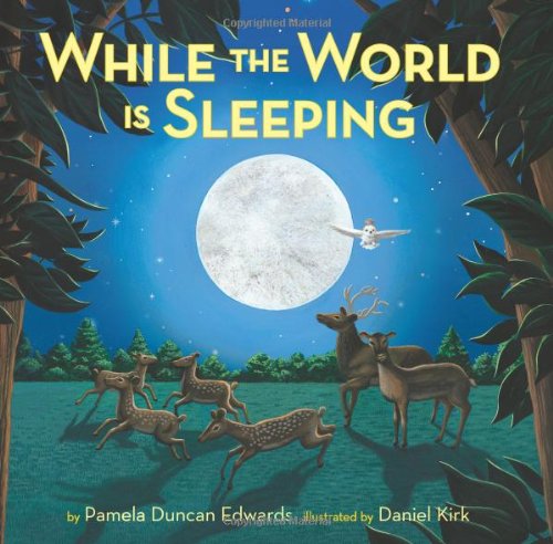 While The World Is Sleeping by Pamela Duncan Edwards