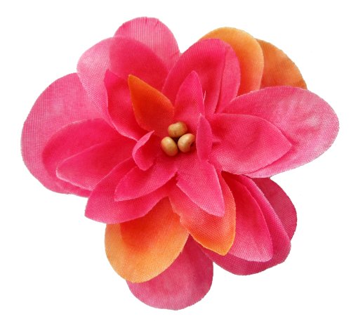 Algopix Similar Product 19 - Cuteque International Inc 6 pieces of