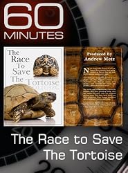 60 Minutes - The Race to Save the Tortoise