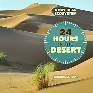 24 Hours in the Desert