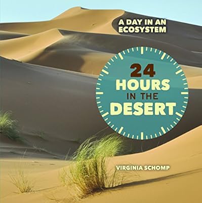 24 Hours in the Desert