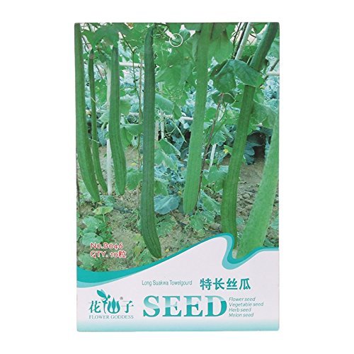 Algopix Similar Product 12 - 