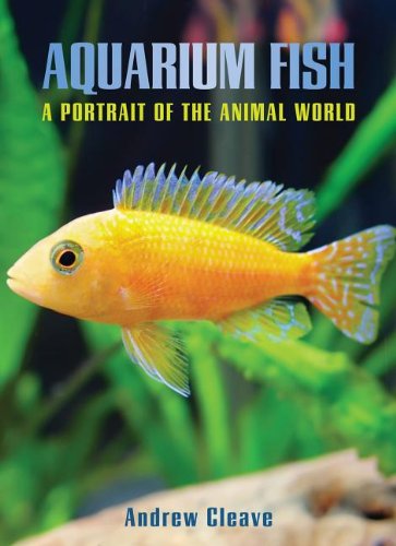 Aquarium Fish by Andrew Cleave