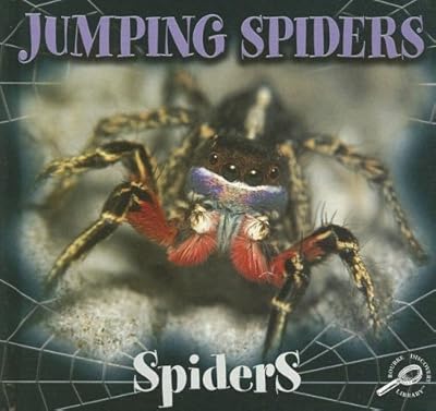 Jumping Spiders