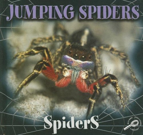 Jumping Spiders by Jason Cooper