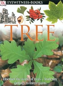 DK Eyewitness Books: Tree