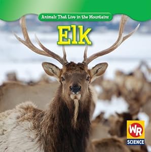 Elk