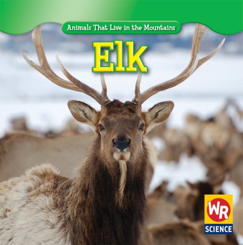 Elk by JoAnn Early Macken