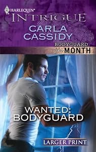 Wanted: Bodyguard