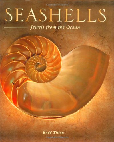 Seashells: Jewels from the Ocean by Budd Titlow