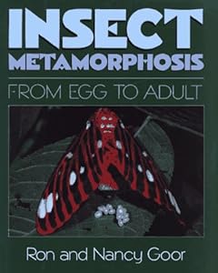 Insect Metamorphosis: From Egg to Adult