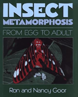 Insect Metamorphosis: From Egg to Adult