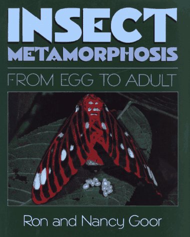 Insect Metamorphosis: From Egg to Adult by Ron Goor