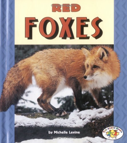 Red Foxes by Michelle Levine