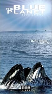 The Blue Planet - Seas Of Life (Part 4) [VHS]