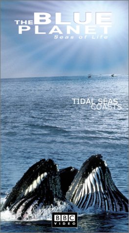 The Blue Planet - Seas Of Life (Part 4) [VHS] by Alastair Fothergill